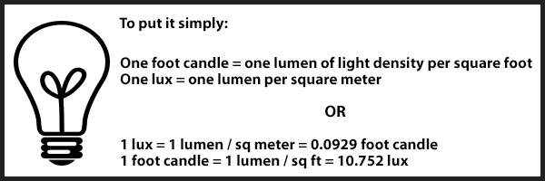 Lux vs Lumen