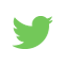 Twitter icon